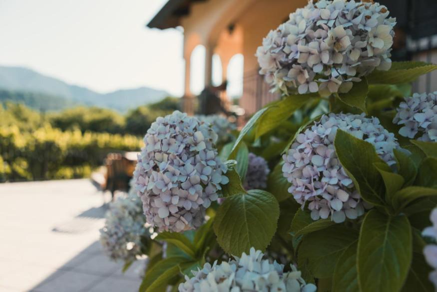 Il Frescale Country House ตรามอนติ ภายนอก รูปภาพ